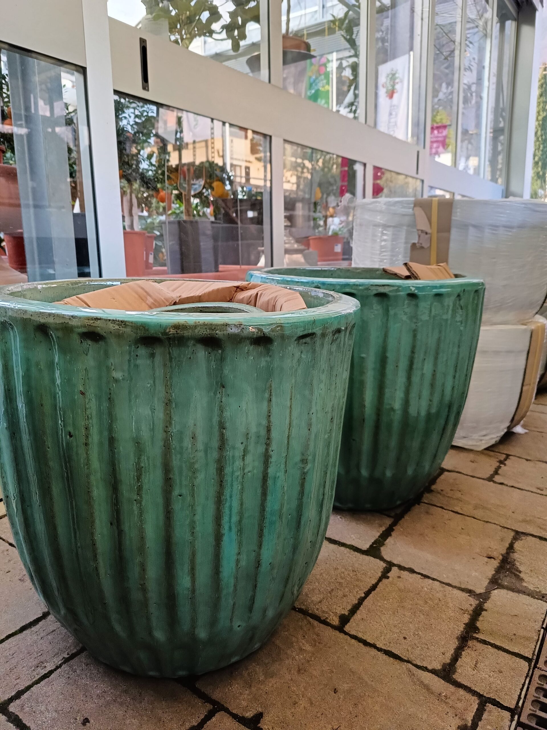 Coprivasi-Floricoltura Roncador Valentino