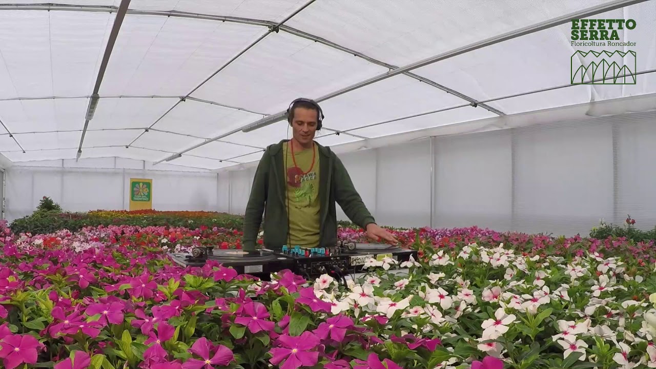 Flower Power, il dj set in serra