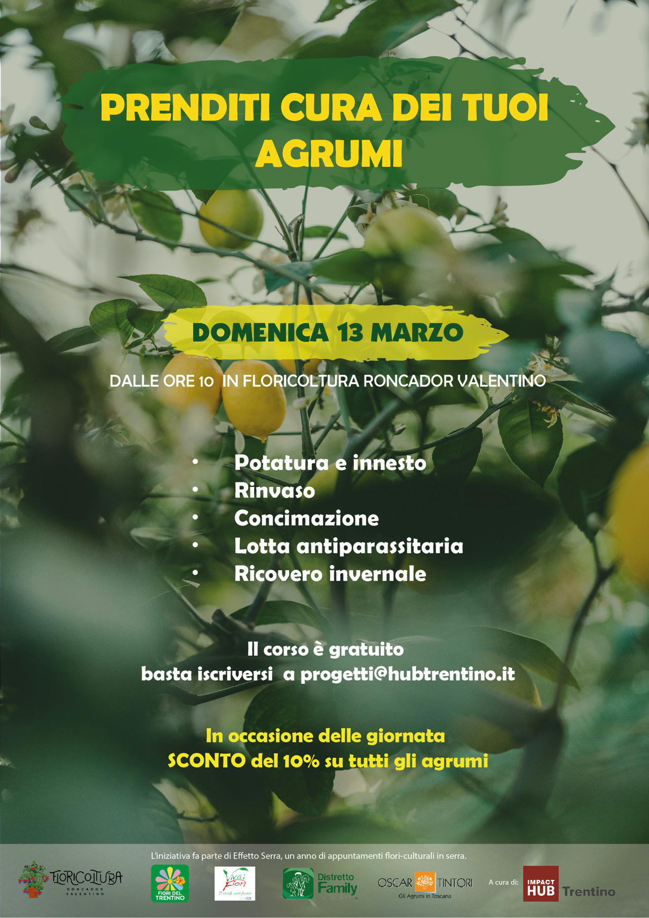 Prenditi cura dei tuoi agrumi