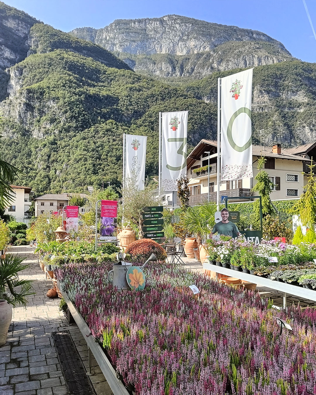 Vendita piante e fiori a Mezzolombardo Trento