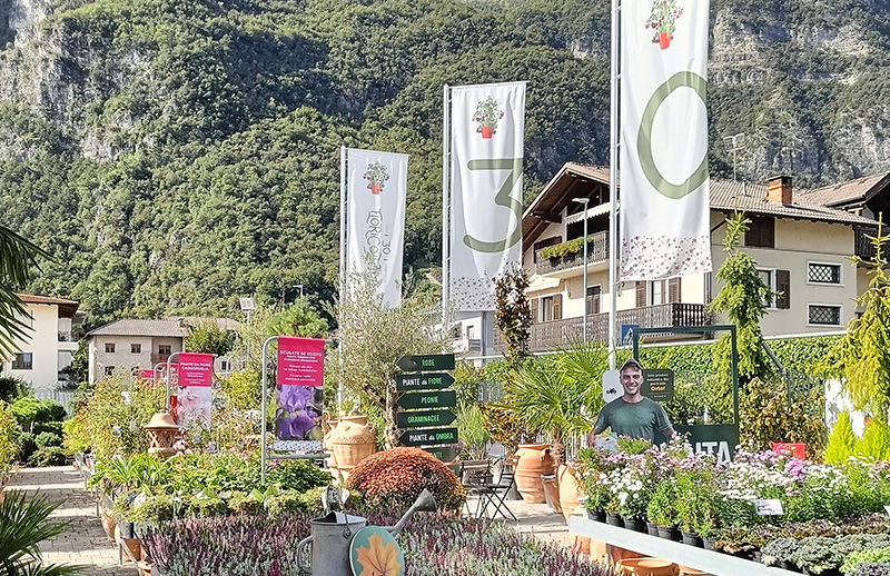 Floricoltura Roncador su “Il Floricultore”: il bello dell’effetto serra