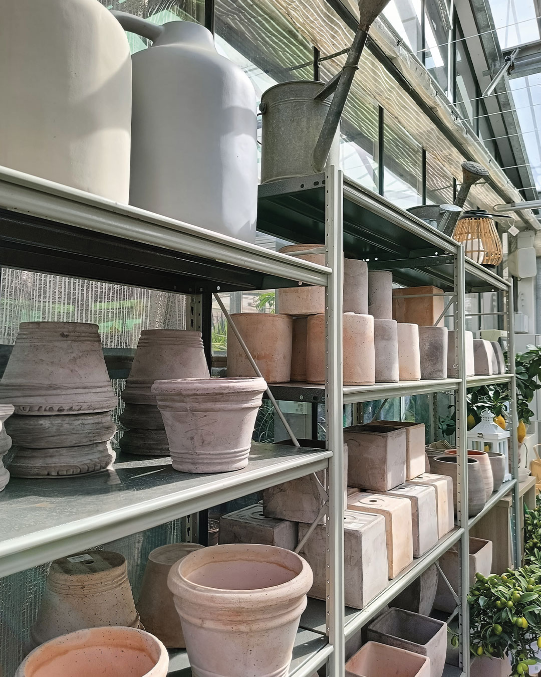 01 vendita vasi e accessori giardinaggio Floricoltura Roncador Valentino