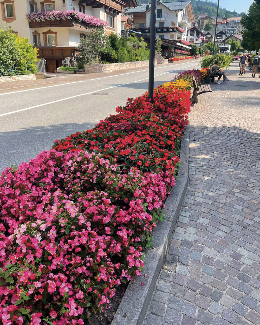 06 Progettazione giardini aiuole verde pubblico Floricoltura Roncador Valentino