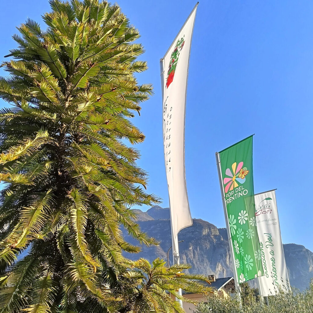 certificazione-viviaio-floricoltura-roncador-valentino Certificazione viviaio Floricoltura Roncador Valentino