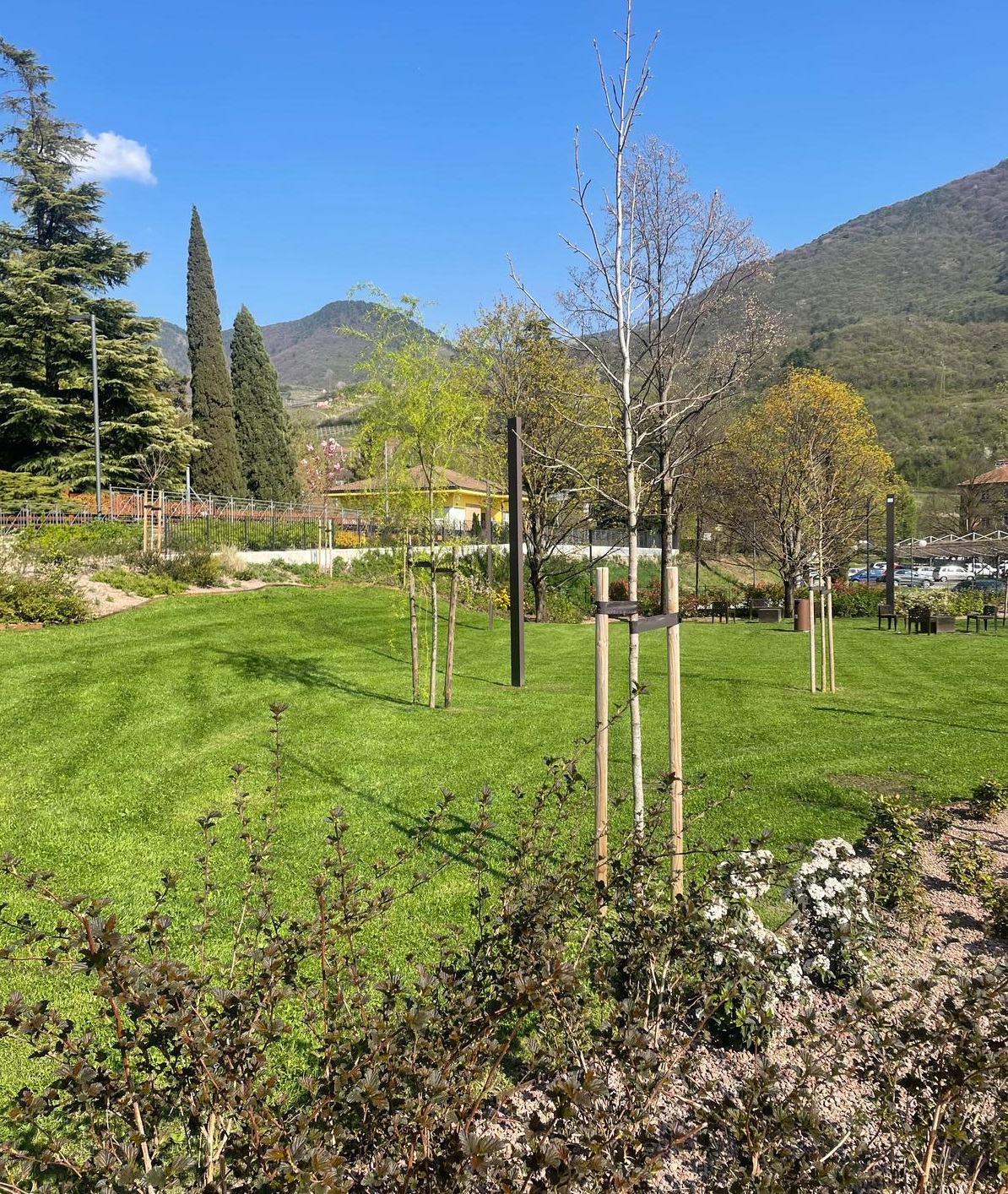 Manutenzione verde sfalcio prato e potature alberi arbusti_Floricoltura Roncador Valentino