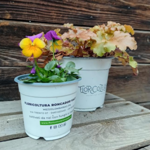 vasi-riciclabili-floricoltura-roncador-valentino.jpg