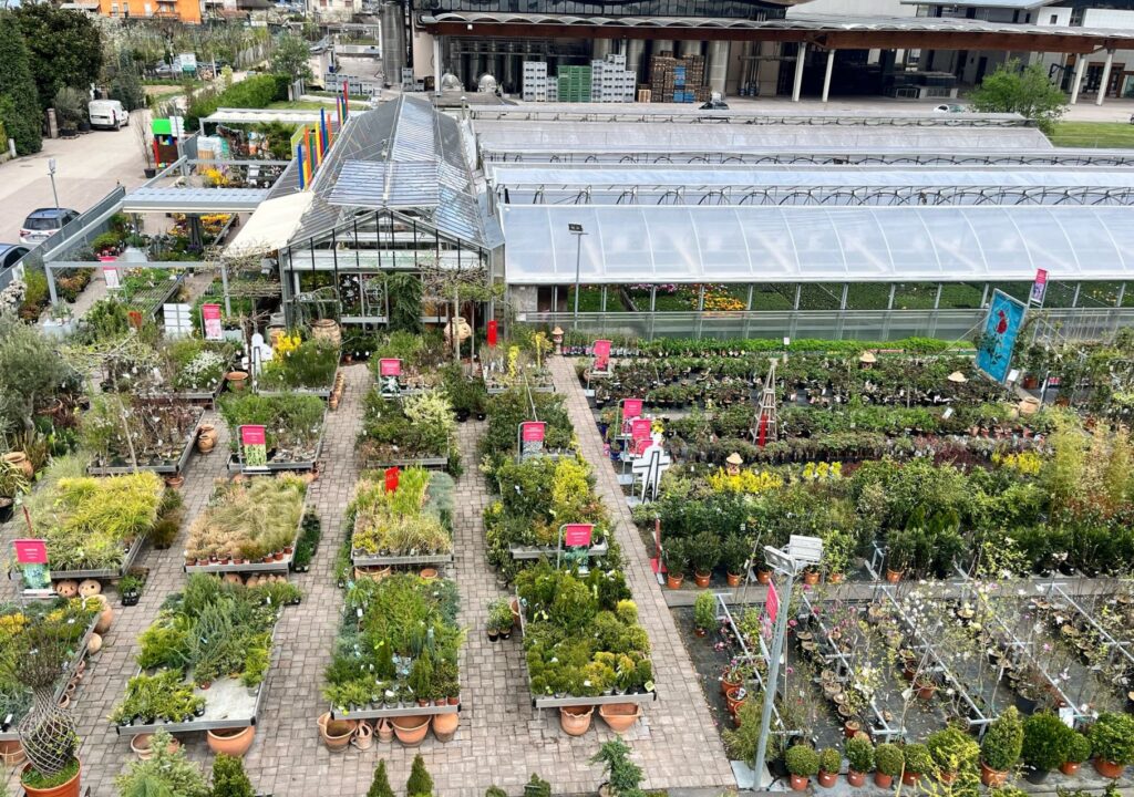 Vivaio serra Floricoltura Roncador Valentino foto panoramica