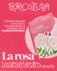 Floricoltura Roncador_Quaderni di Floricoltura_Rose_2