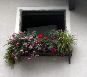 Balcone fiorito_Primavera_Floricoltura Roncador_2