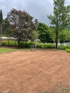 Prato vitale e sostenibile_Floricoltura Roncador Valentino_3
