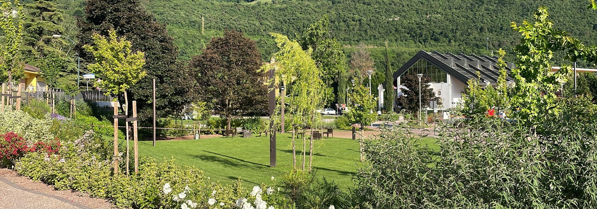 Prato vitale e sostenibile_Floricoltura Roncador Valentino_2