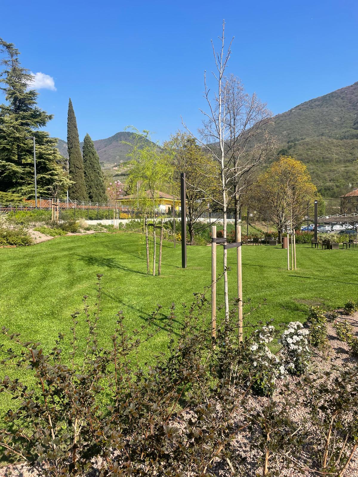 Prato vitale e sostenibile_Floricoltura Roncador Valentino_1