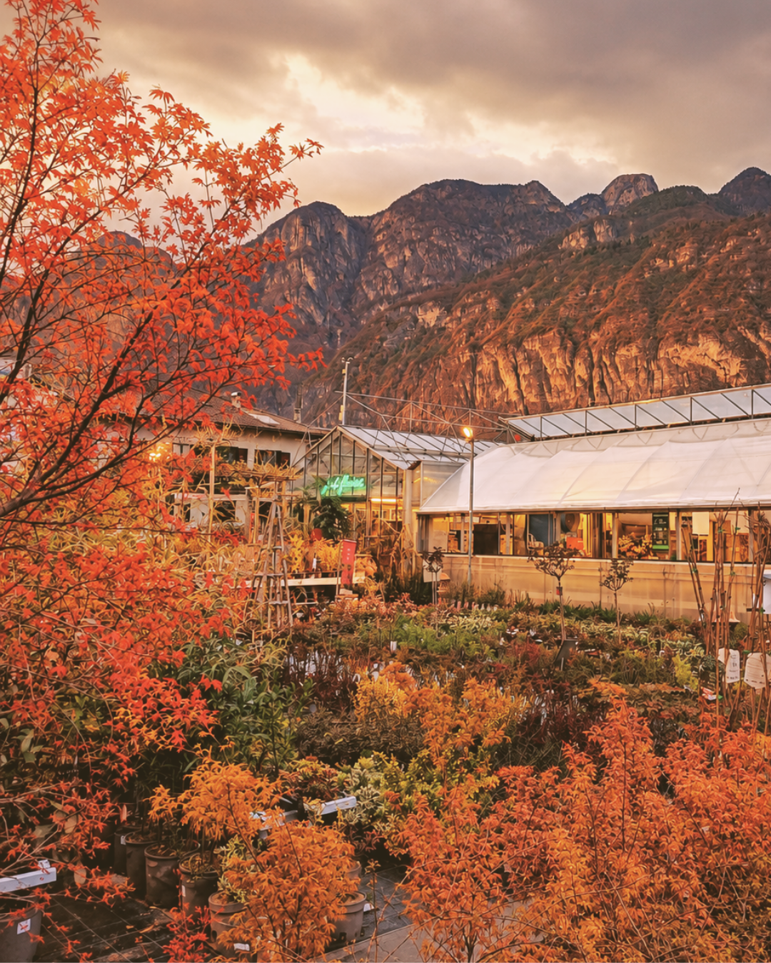 Garden Festival d’Autunno 2026. “Autunno: la scienza della meraviglia”